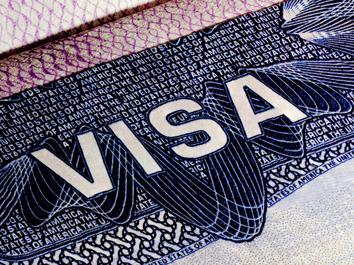 VSI Visa Arabie Saoudite